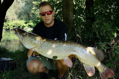 Ščuka
