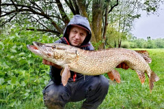 Ščuka